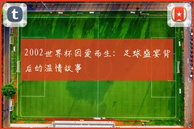 2002世界杯因爱而生：足球盛宴背后的温情故事