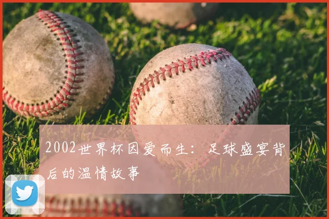 2002世界杯因爱而生：足球盛宴背后的温情故事