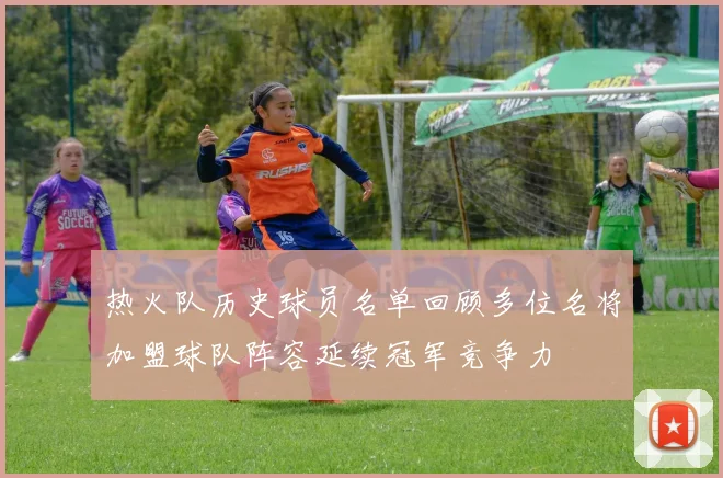 热火队历史球员名单回顾多位名将加盟球队阵容延续冠军竞争力