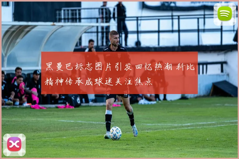 黑曼巴标志图片引发回忆热潮 科比精神传承成球迷关注焦点