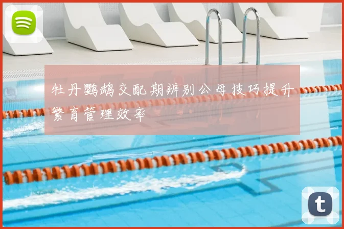 牡丹鹦鹉交配期辨别公母技巧提升繁育管理效率