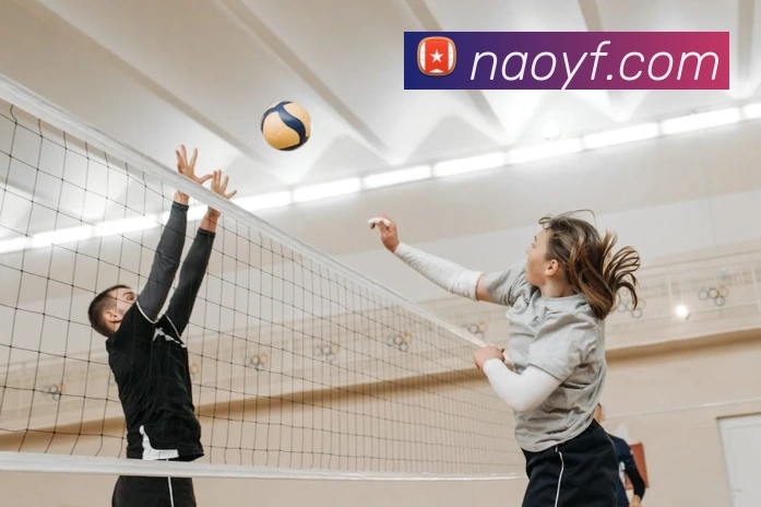 世界杯app官网品牌故事