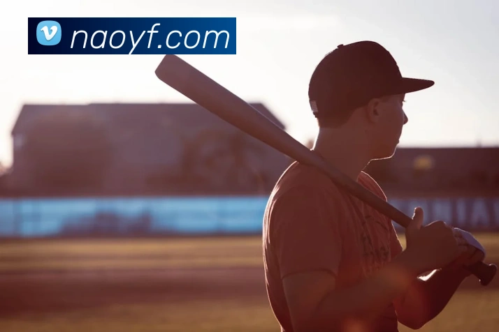 世界杯app官网服务体系